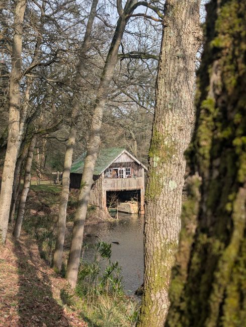 A rustic wooden boathouse with a green sloped roof, situated over a small body of water and surrounded by tall, leafless trees in a wooded area. The structure features a large open entrance facing the water, with a wooden dock or platform partially visible beneath it. The scene appears to be in late autumn or winter, with bare branches and muted natural colours. The image captures the tranquil environment of the woodland, indicative of a peaceful outdoor setting. Removal Companies Surrey might use such imagery to reflect the calm and natural surroundings associated with home relocations in scenic areas around Guildford in Surrey, emphasizing professional moving and packing services in residential environments.